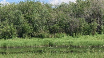 В Усть-Алданский район выехали спасатели на поиски пропавшей женщины