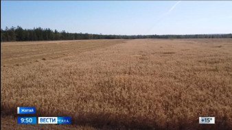 Выпуск "Вести Саха" 29.08.2025 (09:30)