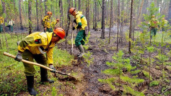 В Якутии задействовано более 1800 человека в тушении пожаров