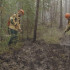 В Якутии за прошедшие сутки ликвидировано 5 лесных пожаров
