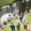 Около 800 тысяч мальков пеляди выпустили в Вилюйское водохранилище в Якутии экологи АО "РНГ"