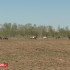 Быйыл халлаан эрдэ сылыйан, дьылбыт эрдэлээтэ