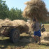 Хаһаайыстыбалар окко киирдилэр