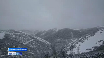 Дожди и мокрый снег. Синоптики рассказали какой будет осень в Якутии