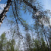 Прогноз погоды в Якутии на 11 июня