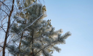 Прогноз погоды в Якутии на 3 ноября