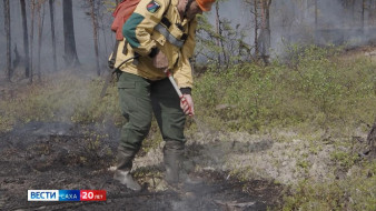 Саха сиригэр ойуур баһаарын утары охсуһуу үлэтэ салҕанар