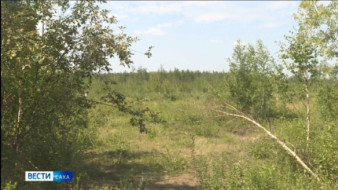 В Якутии за сутки потушено 6 лесных пожаров