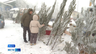 В Якутске начал свою работу традиционный ёлочный базар