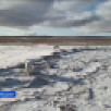 В Нижнеколымском районе продолжается осенний мониторинг белых медведей
