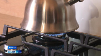 Айсен Николаев поставил задачу газифицировать не менее полутора тысяч домов якутян в 2026 году