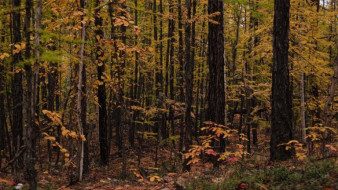 19 сентября. День в истории - даты, события