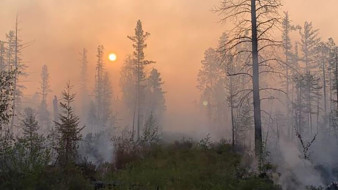 В Вилюйском районе огнеборцы использовали встречный пал для ликвидации пожара