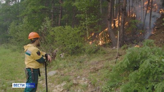 В Якутии предусмотрены выплаты за выявление виновных в лесном пожаре