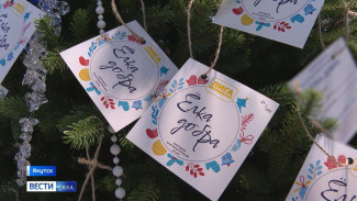 В Якутске стартовала благотворительная акция "Ёлка добра"