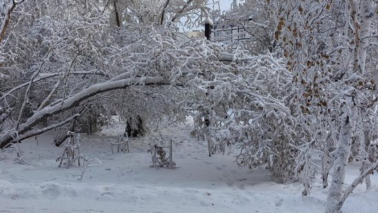 Прогноз погоды в Якутске на 10 января