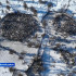 17 млн рублей выделено на поддержку НКО коренных малочисленных народов Севера