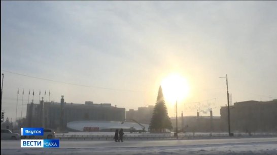 Новогодняя ёлка на площади Республики будет демонтирована 29 января