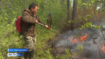 11 лесных пожаров в Якутии находятся на особом контроле