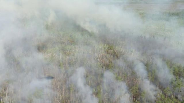 Высокий класс пожарной опасности прогнозируют в ряде районов Якутии в мае
