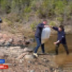 Экологи и Чернышевский рыбоводный завод выпустили в Лену личинки нельмы