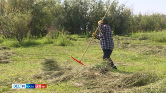 Быйыл от кэмигэр кураан буолара сылыктанар