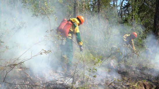 В Якутии идут работы по тушению 54 лесных пожаров