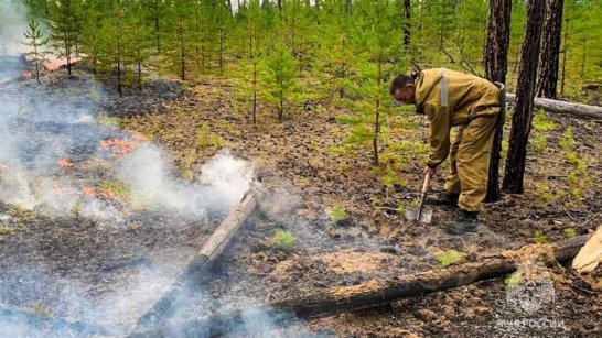 В Якутии действует 146 природных пожаров