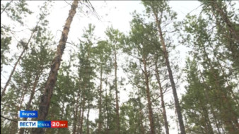 11 августа. День в истории - даты, события