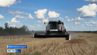 Саха сирин аграрийдара туораахтаах култуураҕа региоҥҥа хаһан да буолбатах көрдөрүүгэ чугаһаатылар