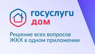 Более 78 тысяч жителей Якутии установили приложение "Госуслуги Дом"