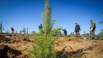В Якутии подвели итоги лесовосстановительных работ