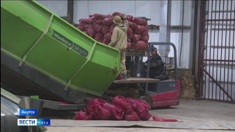 Около миллиона тонн груза завезли речники до территорий северных и арктических районов Якутии