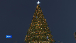 С 5 ноября на площади Республики начнется установка новогодней елки