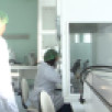 Ветеринары из Якутии разрабатывают инновационные лекарства для лошадей