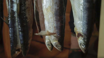 Сергей Местников посетил выставку продукции Жиганской агрошколы