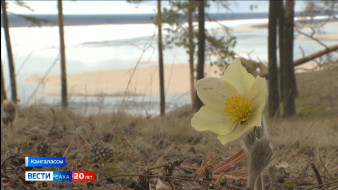 Выпуск "Вести Саха" 13.05.2025 (21:10)