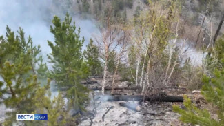 В Вилюйском районе суд взыскал средства затраченные на тушение лесного пожара с виновника возгорания