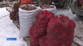 Хомсомуол болуоссатыгар бэйэ оҕуруотун аһын атыыта салҕанар