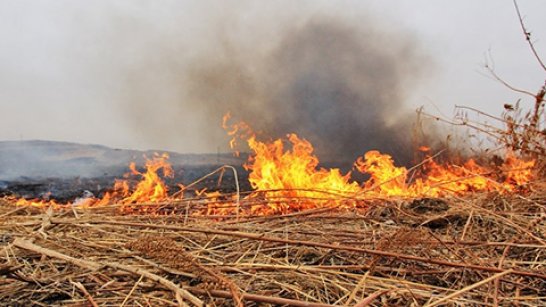 В Якутии ликвидировано 4 лесных пожара