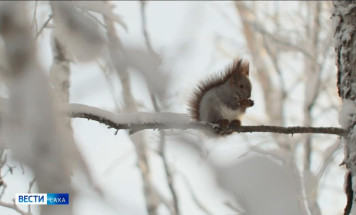 13 февраля. День в истории - даты, события