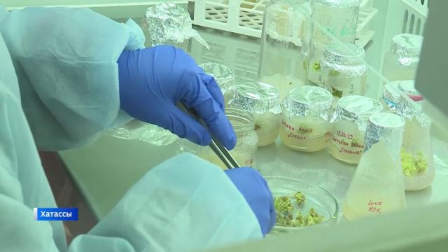 Школьники Якутии примут участие в первом региональном агроконкурсе