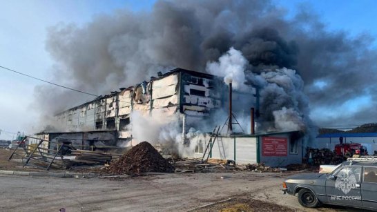 В селе Капитоновка пожарными ликвидирован крупный пожар