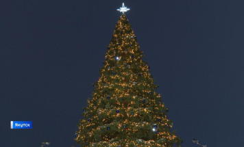 С 5 ноября на площади Республики начнется установка новогодней елки