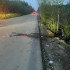 В Ленском районе в результате ДТП пострадали двое несовершеннолетних