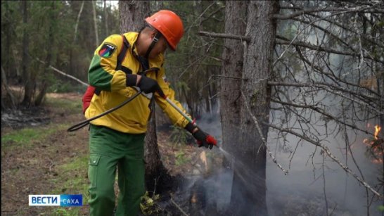 За прошедшие сутки на территории Якутии ликвидировано 24 лесных пожаров