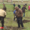 Жители Якутска присоединились к Всероссийской акции "Сад памяти"