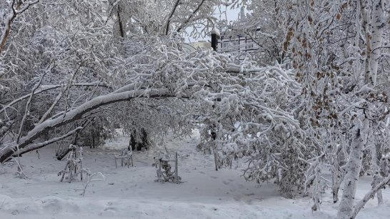 Прогноз погоды в Якутске на 25 января