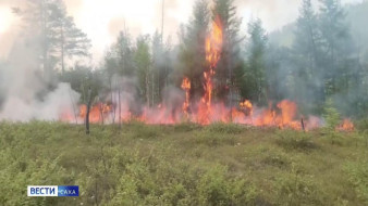 Порядка 2 тысяч человек задействовано на тушении пожаров в Якутии