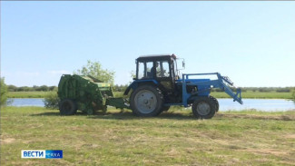 В Якутии план по заготовке сена выполнен на 85%